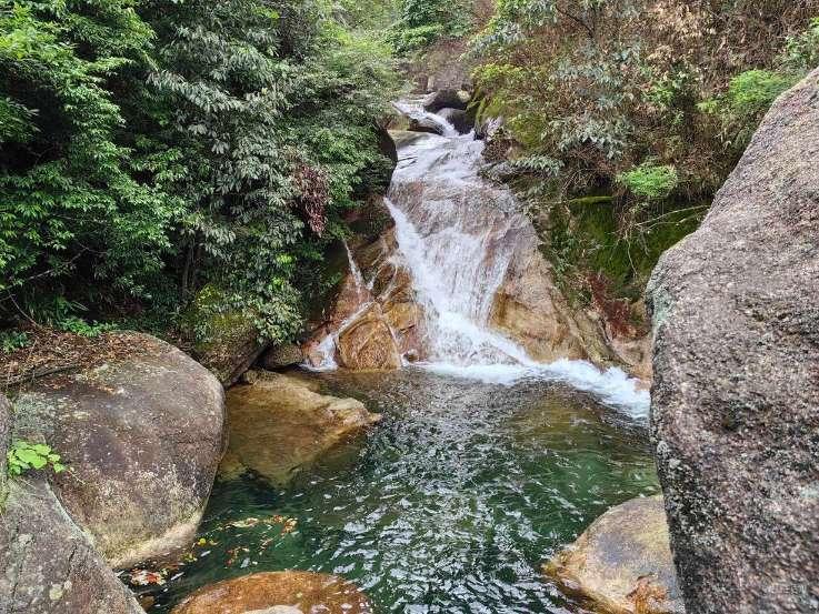 如何做鲫鱼汤-专注有问必答的平台